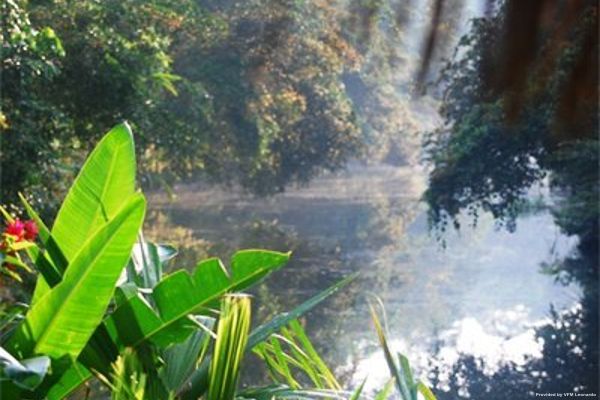 YACUMA ECOLODGE - ALL INCLUSIVE (Tena)